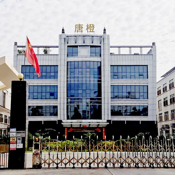 الصين Guangzhou Tangcheng Technology Co., Ltd. ملف الشركة