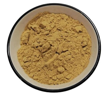 Artificial Planting Careful Selection Kidney Health Raw Material Powder Herbal Extract Dietary Supplement