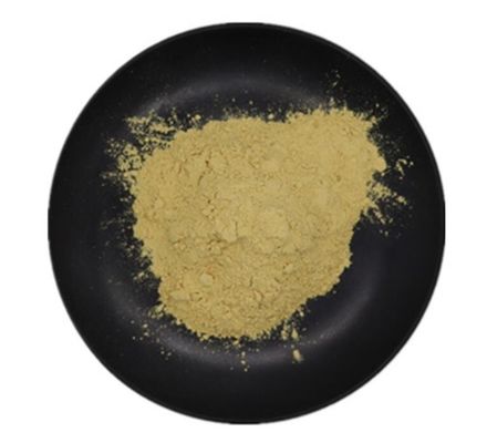 Artificial Planting Careful Selection Kidney Health Raw Material Powder Herbal Extract Dietary Supplement
