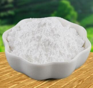 Grade Health Product Grade Herbal Extract Creatine Raw Material Powder Dietary Supplement